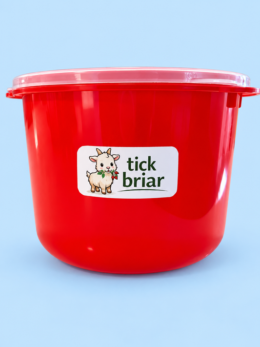 Cheese Brining Bucket with Submersion Insert | (3 Liter)
