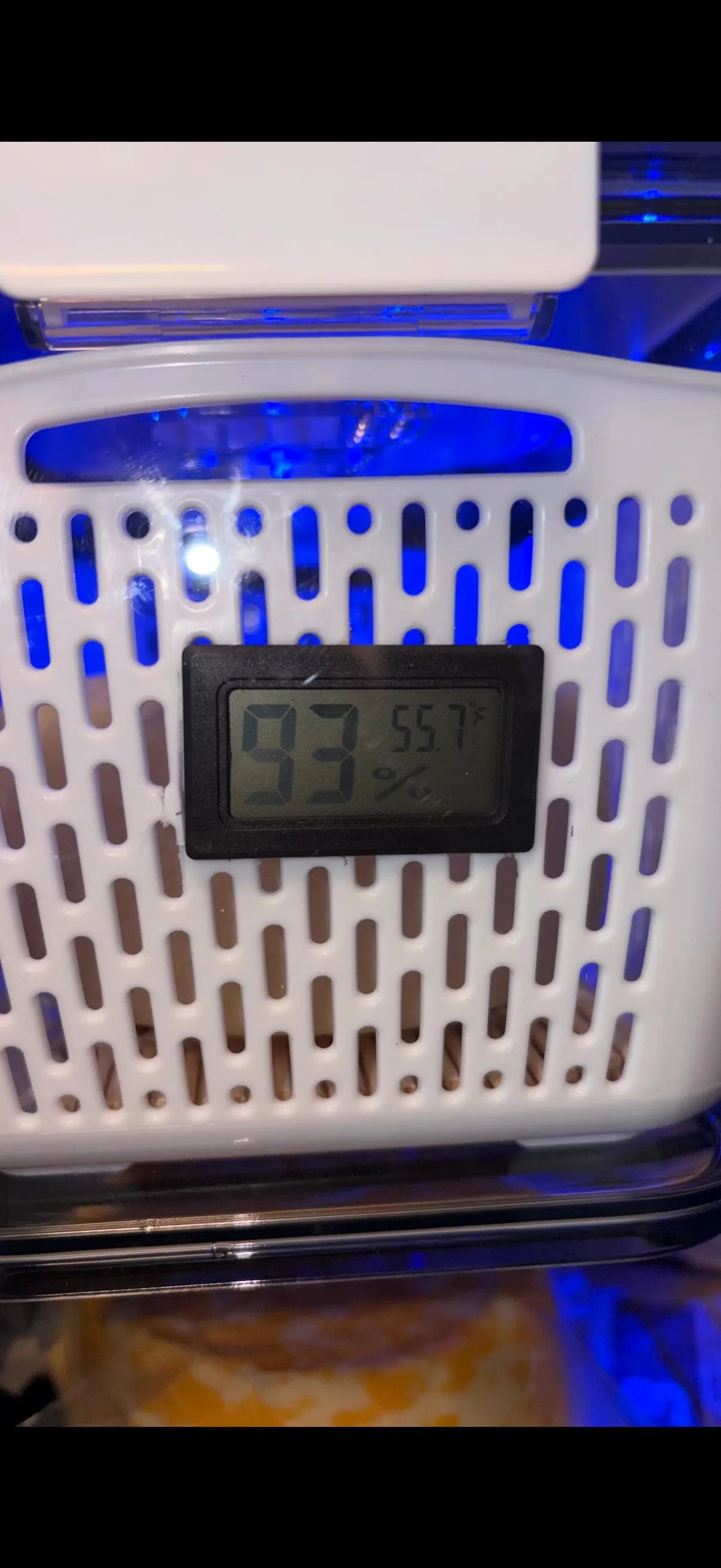 Humidity Controlled Cheese Aging Container