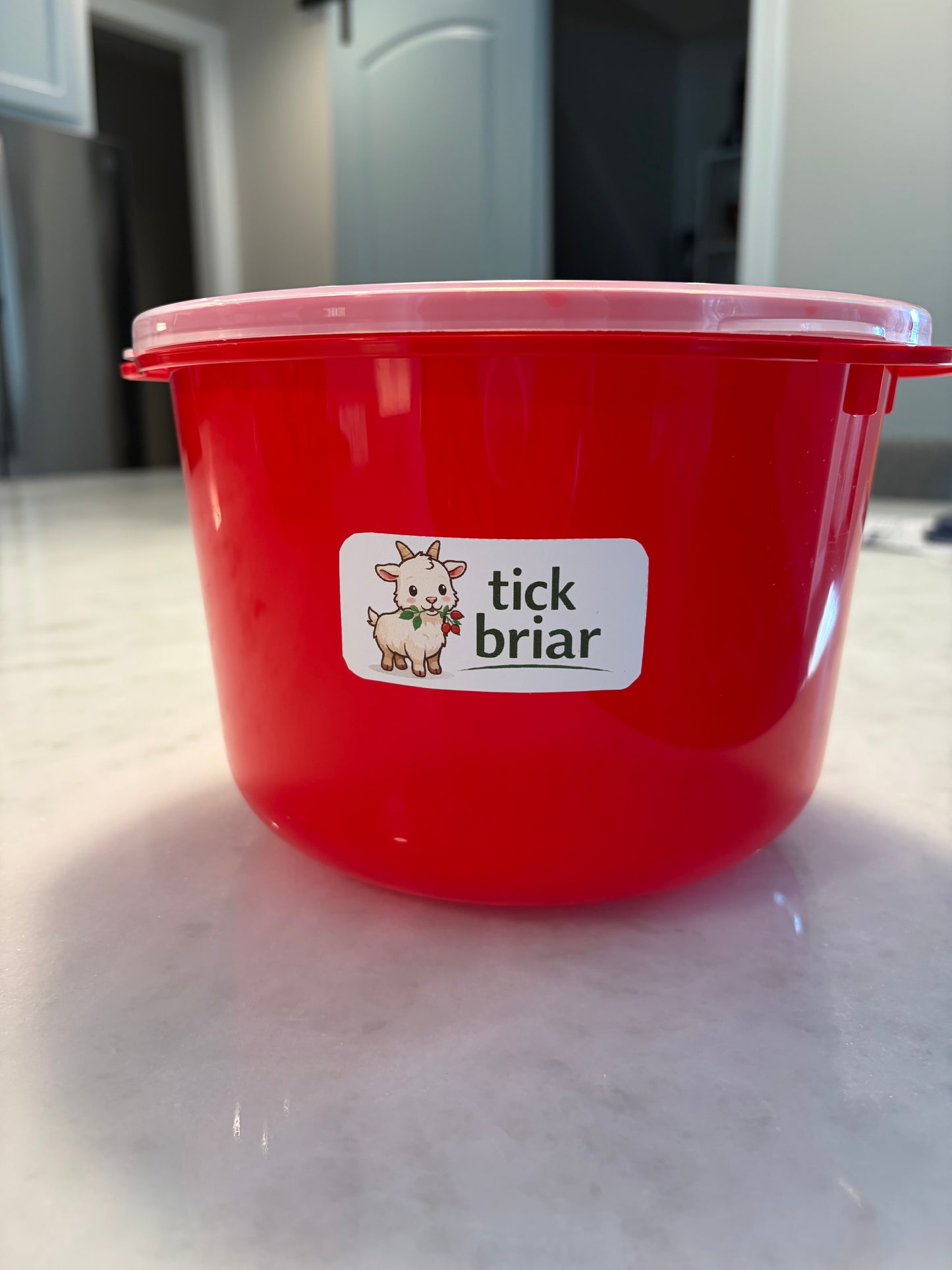 Cheese Brining Bucket with Submersion Insert | (3 Liter)